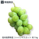 信州 長野県産 【シャインマスカット】約1kg（2房）種なしぶどう【送料無料】手土産 贈り物 プレゼント お供