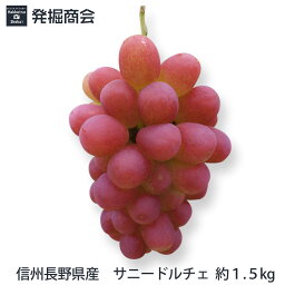 楽天市場 発掘商会