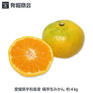 Q FaY@ɑ݂ 4kgTCY(S`MTCY) ʌ