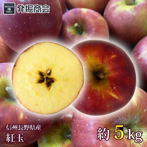 信州 長野県産 紅玉 約5kg2025年度収穫 りんご
