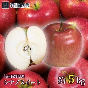 y\tzMB 쌧Y VimXC[g 5kg  2025Nn