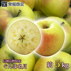 y\t!!zMB 쌧Y ܖ 5kg2025Nxn 