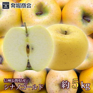 MB 쌧Y VimS[h 3kg2025Nxn 