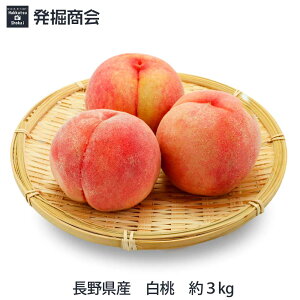 MB 쌧Y  3kg (10OEƒpji͎ɂς邽ߑIׂ܂B