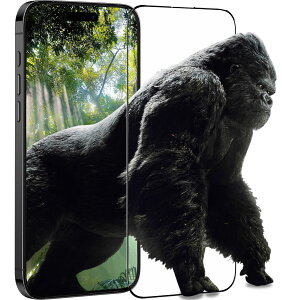 ySKXzmemumi iPhone 16/15ΉKXtB Sʕیudx9H/|IȑϏՌ/KChgt/R/hw/CA[/x^b`v