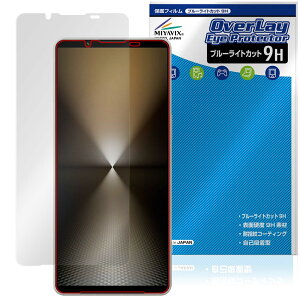 ~rbNX Xperia 1 VI Ή ی tB dx 9H u[CgJbg PET {