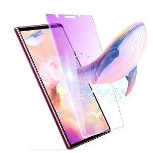 y2024ǌ^z Xperia5 KX tB u[Cg Sʋz GNXyA5 یKX Sʓ\t SO-01M  KXtB SOV41 ی tB SʔS 5 t KXtB