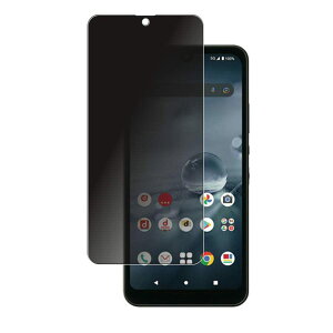 SHARP AQUOS wish2 SH-51C A204SH p `h~^Cv TPUtیtB Sʕی vCoV[ wh~ veN^[ tʕی wh~ AAh~ jh~ privacy typ