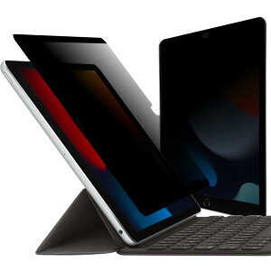 LOE(ロエ) 360度 マグネット式 覗き見防止フィルム iPad 10.2 (第9世代 / 第8世代 / 第7世代) / iPad Pro 10.5(2017), iPad Air3 10.5(2019)共通 プライバシーフィルター 簡単装着 ブルーライトカット 保護フィル
