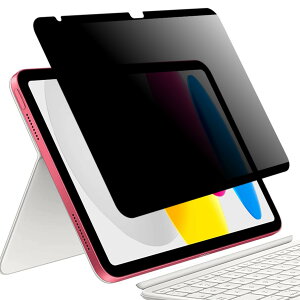 LOE(ロエ) マグネット式 iPad 覗き見防止フィルム iPad 第10世代 (10.9 インチ 2022) フィルター 反射防止 横向きタイプ iPad 10世代 対応 プライバシーフィルター