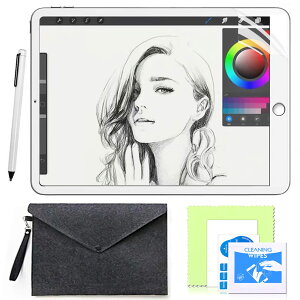 JP�t�B���^�[��吻���� iPad 9.7�C���`/ iPad Air 2�i2014�j/iPad Air�i2013�j��6/5����p�ی�t�B���� ���̂悤�ȕ`���S�n ���˒ጸ ����� �A���`�O���A �y���斁�Ֆh�~