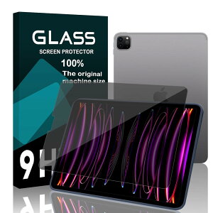 対応 ?iPad Pro 11 第4世代 M2 2022 / iPad Air5 第5世代 iPad Air4 / iPad Pro 11 2021 / 2020 / 2018 ガラスフィルム 覗き見防止【国産AGC旭硝子素材】ipad 10.9inch フィルム ぞき見防止 2022 iPad 第10世代 強化ガラス