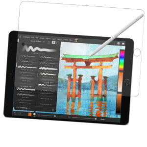 JHZZWJ FOR iPad Air 3 (2019) / iPad Pro 10.5�C���` �p �y�[�p�[�^�C�v �P���g���̂悤�ȕ`���S�n ���{�� ipadpro 10.5 �p �t�C����/ipadpro �p �K���X�t�C���� �����K���X ipad air 3 2019 �p �t���ی�t�B���� ipa