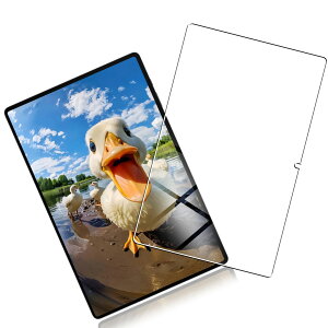 y1pیtBz Ή Galaxy Tab S9 11C` Kp̃KXtB Ή Galaxy Tab S9 2023N Kp̋KXtیtB ^ wh~ Uh~ \tȒP tیtB