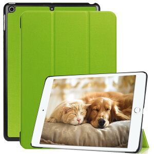 iPad P[X 9.7 C` 5 6 (2018/2017) Ή ipad 6 P[X PUU[ ^ y h~ O܃X^h ipad Air2 Jo[ PinLiSheng (iPad 9.7 2018/2017, O[)