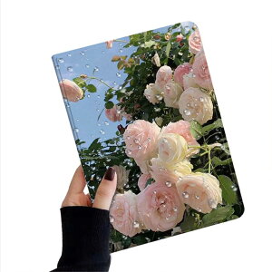 iPad mini7 P[X (A17 ProA2024) iPad Mini 7 6 P[X ԕ  fB[X iPad mini 7 Mini6 Jo[ t t[ I[gX[v Apple Pencil [ ubN IWi ,Color 2