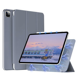 GKABXY V^ iPad Pro 11C` P[X (M4) 2024 5 p }Olbg Cz Jo[ O܃X^h Pencil Pro/USB-CSΉ Pencil ProCX[dΉ I[gX[v y ^ h~