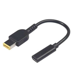 Type-Cϊ dϊA_v^[ ϊpP[u LENOVO/NEC/ThinkPad X1 Carbon Legion 11.0×4.5mm p^vO Ή m[gPC [dA_v^[ 65WΉ gK[vO USB^CvC DCvO