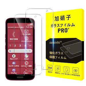 Ή 炭炭X}[gtH F-53E KXtB y2Zbg-YAGCɎqKXzΉ F-53E tBi2jt f-53e یtB KX dx9H 0.3mm 3DEhGbWH