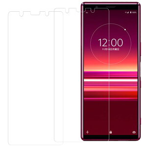 KPNS �y2������zXperia 5 so-01m sov41 901SO �K���X�t�B���� (2��) ���Y�Ɏq�f�ސ� �����K���X �ی� �t�B����