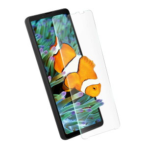 AMWU Xperia 10 VI KXtB Xperia 10 VI tB {Ɏq GNXyA10VI SO-52E SOG14 Sʋz 10VI  KX ӂ t ی  yߗ/Ȃ/CA[z y1