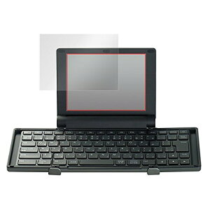 ���{�� �w�䂪�ڗ����Ȃ� ���˖h�~�t���ی�t�B���� �|���� DM30 �p OverLay Plus OLPMRDM30/12