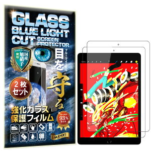 2 RISE KXtB tB u[CgJbg 93% iPad 10.2 iPad 9 2021 / iPad 8 2020 / iPad 7 2019 p یtB  KX   { Ɏq dx9H 2.5DE