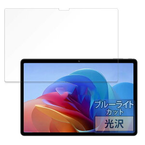 FILMEXT �t�B���� BNCF Bpad 10 �p �ی�t�B���� �u���[���C�g�J�b�g �t�B���� ������