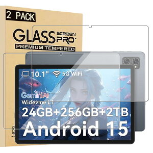 �yE-COAST�z2������ Tabwee T20 �p�̃K���X�t�B���� TABWEE 10�C���` 2025�N�V�^ �t���ی�K���X�t�B���� �d�x9H �����^ �����ߗ� �����z�� �X�N���b�`�h�~