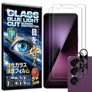 �yRISE�z 2���{2�� �u���[���C�g�J�b�g �t�B���� �Ή� Xperia 1 VII �K���X�t�B���� �G�N�X�y���A 1 VII SO-51F / SOG15 / XQ-FS44 �p �ی�t�B���� �J�����t�B���� �����Y�t�B���� �����Y�ی�K���X ����
