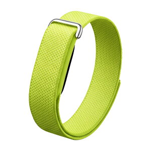 [AnnTec] For Google Fitbit Air �o���h Fitbit Air �Ή� �����x���g �ʃt�@�X�i�[ �i�C�����f�� ������ �y�� �ʋC�� �ϋv�� ���ߎ��� ��t�ȒP �j�����p (�O���[��)