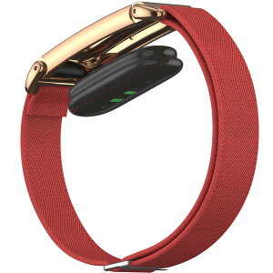 for Google Fitbit Air �i�C�����o���h �L�k������ �y�� �ʋC�� �^���Ɠ��팓�p �ϋv���i�ԁj