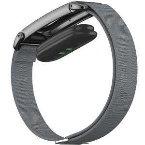 for Google Fitbit Air �i�C�����o���h �L�k������ �y�� �ʋC�� �^���Ɠ��팓�p �ϋv���i�O���[�j