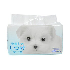 （まとめ） ペットプロジャパン PetPro やさしいしつけシーツ 1パック（42枚） 【×3セット】