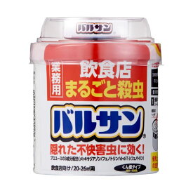 （まとめ）レック 業務用バルサン 飲食店まるごと殺虫 40g VSPTD 1個 【×3セット】