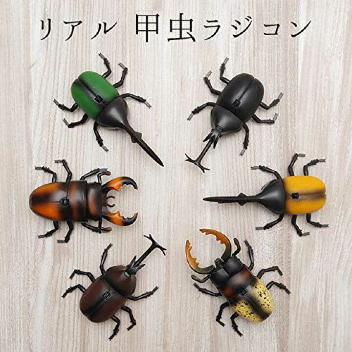 楽天市場 Goodsland 6type リアル 甲虫 ラジコン こども向け 子供 簡単 操作 室内 昆虫 虫 Rc 赤外線 通信 プレゼント かっこいい Gd Kuwaraji Hera B T M Bストア