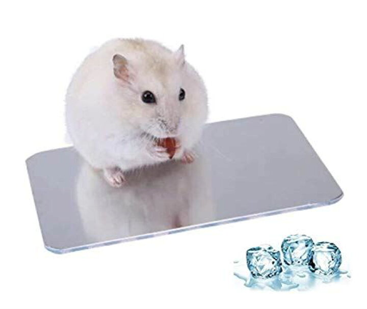 楽天市場 ハムスター 涼感プレート L1 W80mm ひんやりプレート アルミクールマット クールパッド 冷却マット 涼しい 夏用 ウサギ モルモット ハムスター小動物夏用品 熱中症防止 暑さ対策 ケージアクセサリー T M Bストア