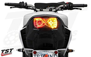 TST V^MT-09(17-) pEBJ[ LEDe[Cg (NA)