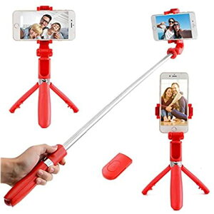 HYR y2020NiŁz B_ Bluetooth ZJ_ y  Or/rp 360x] 6iLk CX R ܂肽 ^тɕ֗ iPhone/Android X}zΉ (bh)