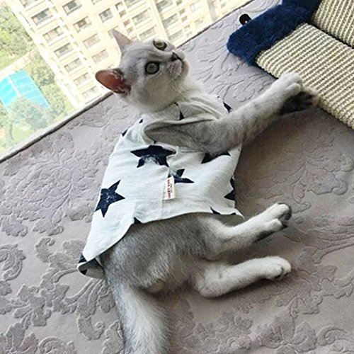 iikuru 猫用 服 かわいい 猫 洋服 Ｔシャツ ペット服 ねこ Ｍサイズ 子猫 ウェア x783 コットン 海外輸入 おしゃれ 最適な材料