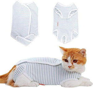 yTonazLp p㕞 ybgp㕞 D   ȑf 畆ی r ~h~ Lp ʋC _炩 Y p XgCv L zCg