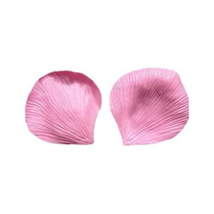 yEver gardenz o  т ` 3D VR[h / A}nCXg[ ΍p /  Ό / W /  Sy / ^ ^