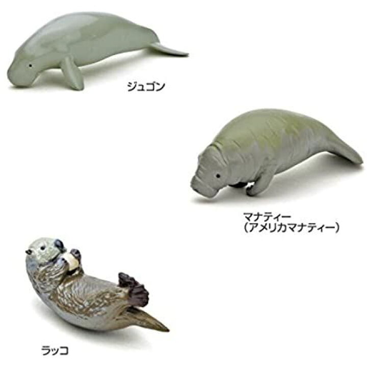カロラータ 哺乳類 8種 イルカ クジラ スタンド付き フィギュア フィギュアボックス リアル 立体図鑑 解説書 食品衛生法クリア 代引可 フィギュア
