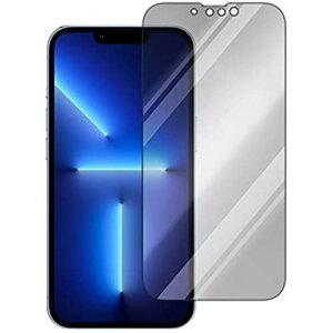 PDA�H�[ iPhone 13 Pro �p Mirror Shield �ی� �t�B���� [�O�ʗp] �~���[ ���� ���{��