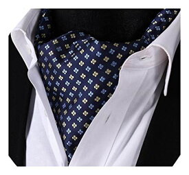 HISDERN(ヒスデン) アスコットタイ メンズ シルク ネッカチーフ スカーフ 人気Top1 15色 Free Size 13ブルー