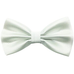 AINOWlN^C {E^C sAlX^C `͗l zCg