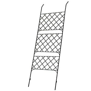 K[fK[f ΂̃J[e⃍[YtFXɃACAO[J[e 1 221cm×80cm ubN IGC 1Pi