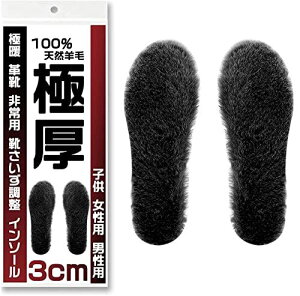 靴中敷き 中敷 シューキーパーの人気商品 通販 価格比較 価格 Com