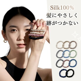 シルク ヘアゴム シルク シュシュ シルク シルクシュシュ ヘアアクセサリー セット 100 シルク ヘアゴム セット シルクヘアゴム ヘアケア シルク100% ヘアゴム 大人 19匁 おしゃれ シルク ヘアバンド 細め 美髪 まとめ髪 髪留め ポニーテール レディース qj