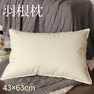 Iɓ΃^_! Hі H  43×63cm H܂ H ܂ 43×63cm H  zedl tFU[  H ܂ VRf100 K ܂ ӂ   H   